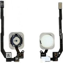 İphone 5S Home Tuş Flex Beyaz